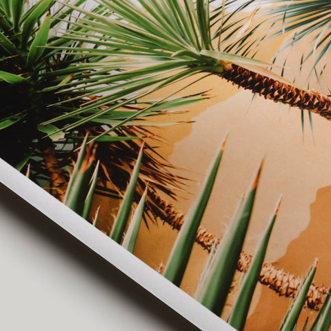 Hahnemühle Photo Rag® Satin